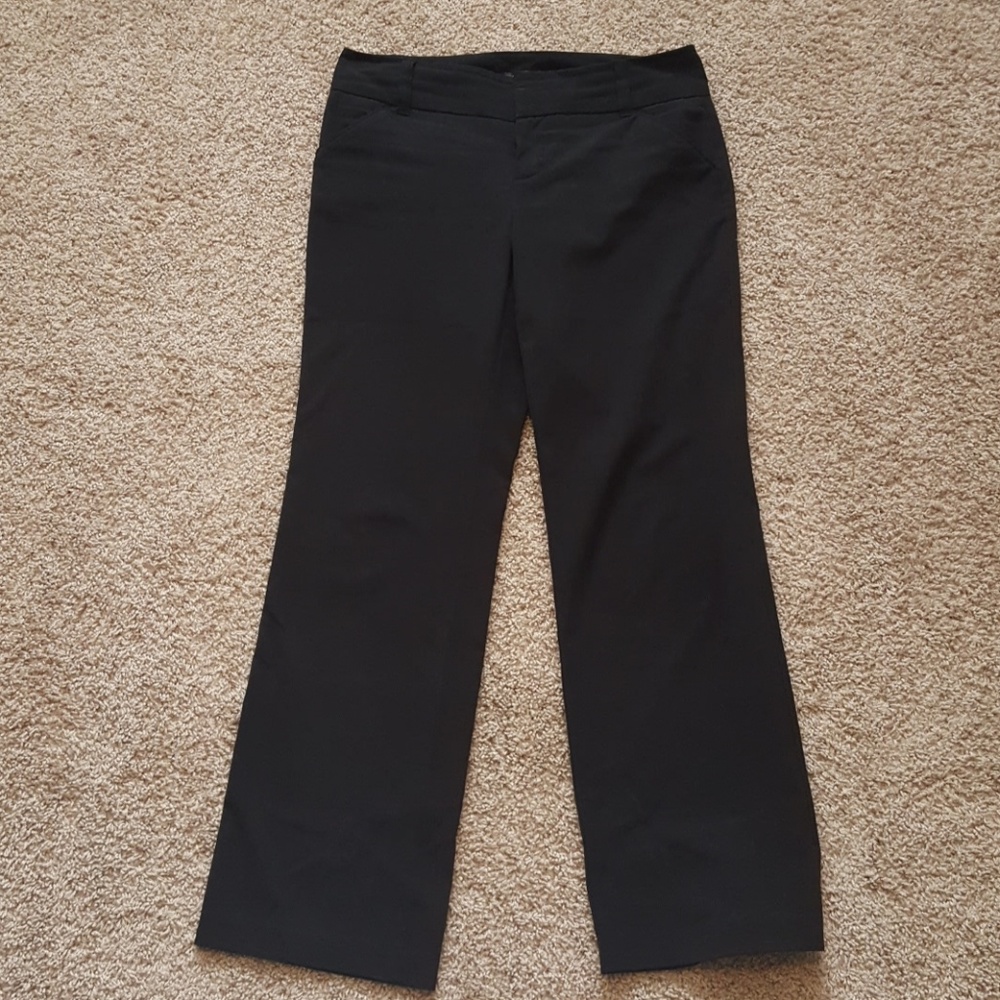 Dress pants